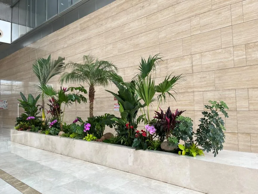 速看！镇海绿化修剪的实用指南